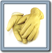 Men's
Lined 40 g Thinsulate
Deerskin Gloves